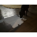 Собака - 15.jpg